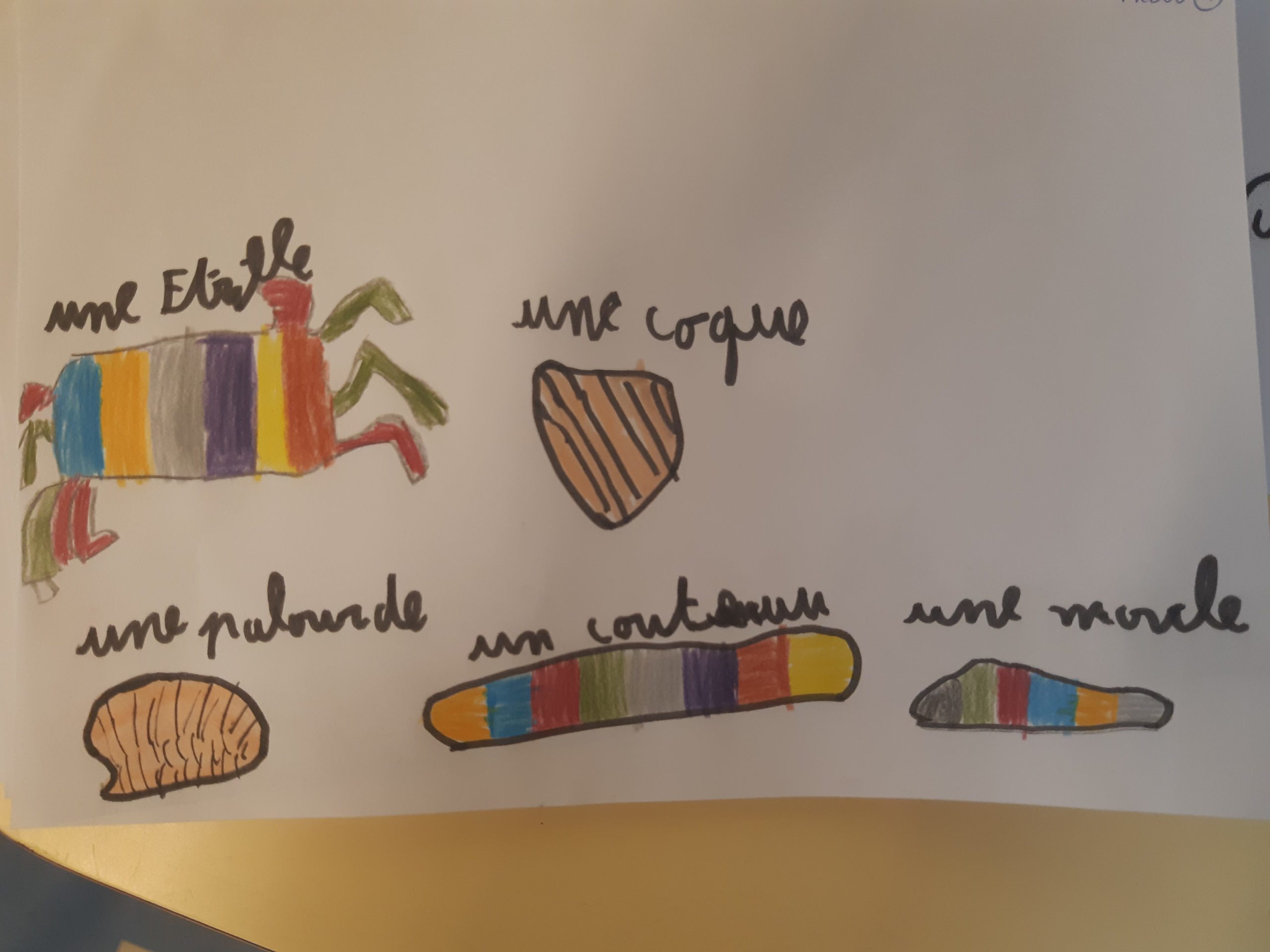 Dessin enfant sortie scolaire recyclerie maritime estran