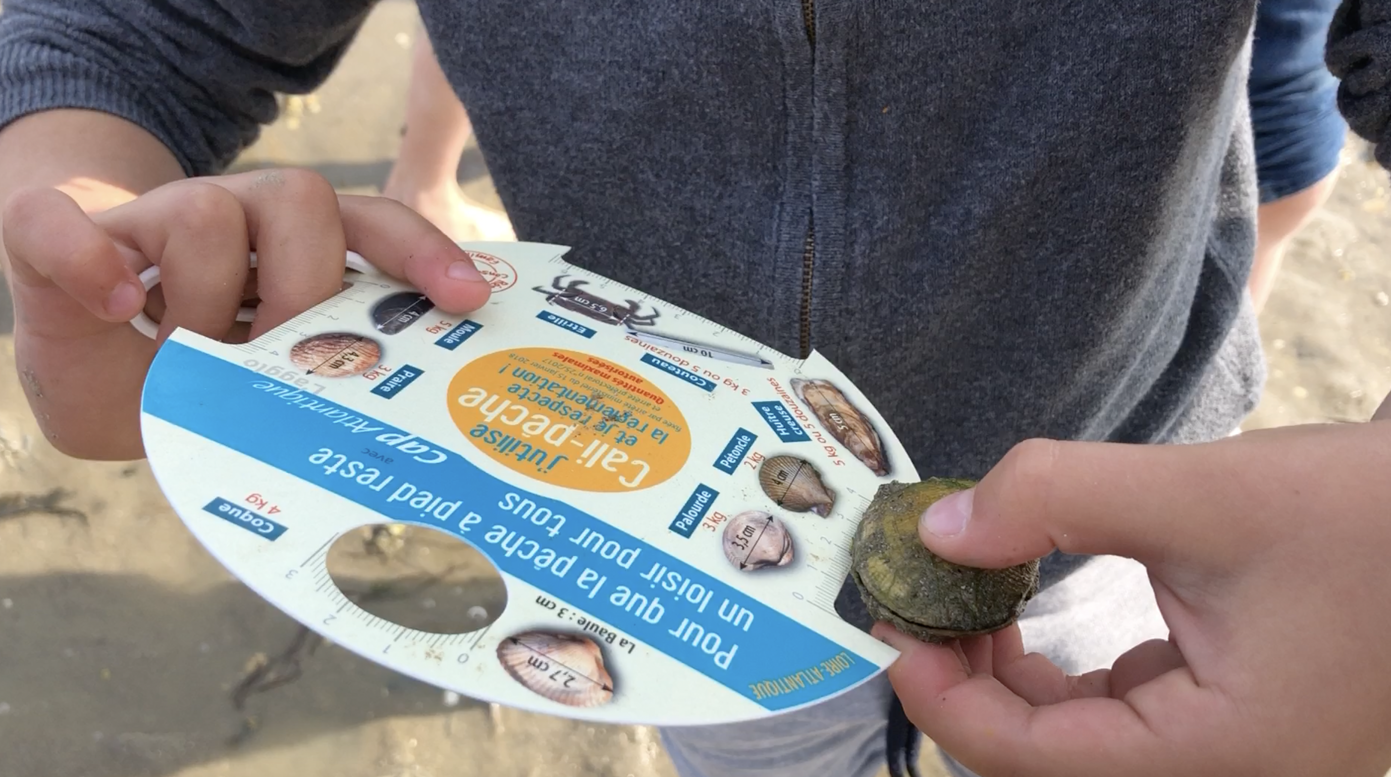 Exemple du Calipeche pour la sortie scolaire de la Recyclerie Maritime